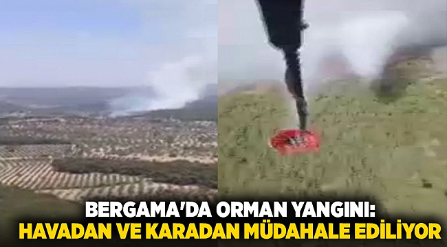 Bergama&#039;da orman yangını: Havadan ve karadan müdahale ediliyor