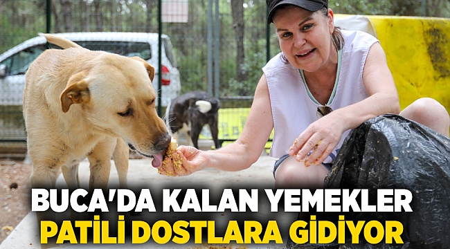 Buca&#039;da kalan yemekler patili dostlara gidiyor