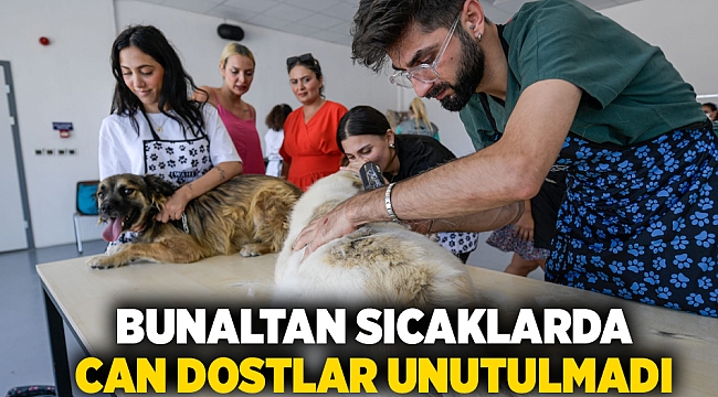 Bunaltan sıcaklarda can dostlar unutulmadı