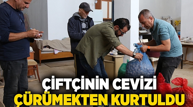 Çiftçinin cevizi çürümekten kurtuldu