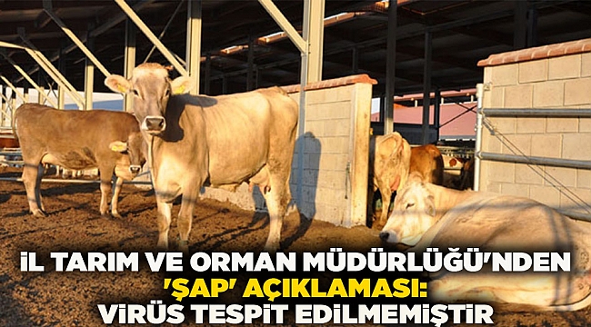 İl Tarım ve Orman Müdürlüğü&#039;nden &#039;şap&#039; konusunda virüs tespit edilmediği açıklaması yapıldı.