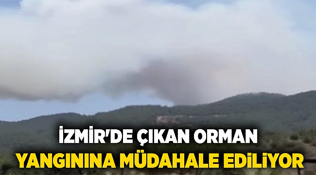 İzmir&#039;de çıkan orman yangınına müdahale ediliyor