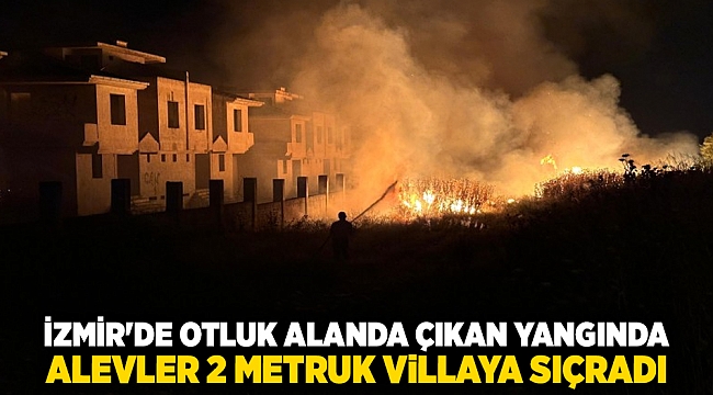 İzmir&#039;de otluk alanda çıkan yangında alevler 2 metruk villaya sıçradı