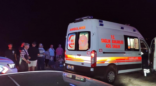 İzmir'de zeytinlik alanda yangın