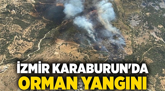 İzmir Karaburun&#039;da orman yangını