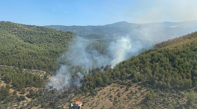Muğla'nın Milas ilçesinde orman yangını