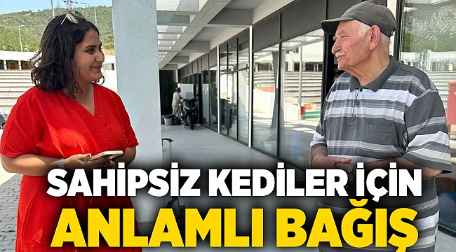 Sahipsiz kediler için anlamlı bağış