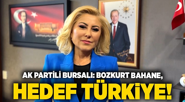AK Partili Bursalı: "Bozkurt bahane, hedef Türkiye!"