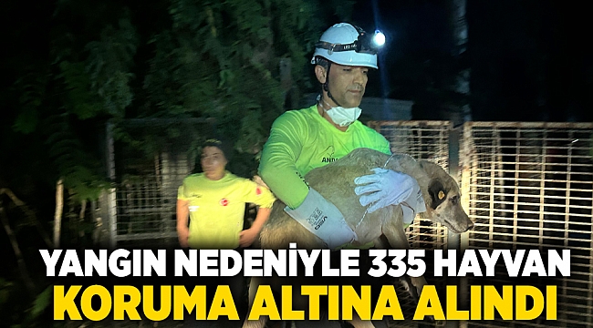 Büyükşehir ekipleri can dostları yangından korudu