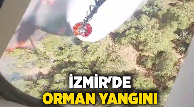 İzmir&#039;de orman yangını