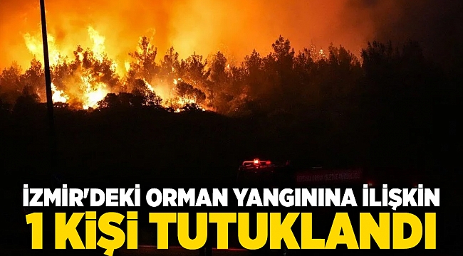 İzmir&#039;deki orman yangınına ilişkin 1 zanlı tutuklandı