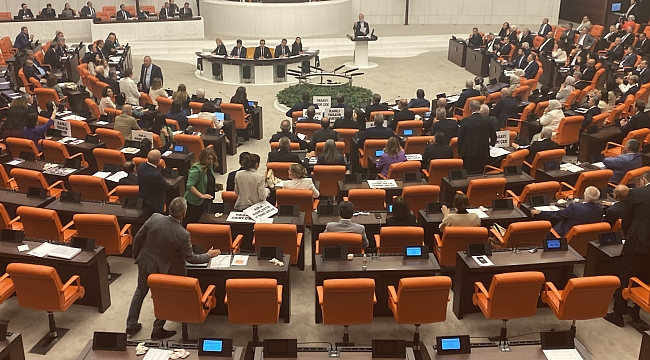 Sokak hayvanlarına ilişkin düzenlemeler içerek ilk kanun teklifinin ilk beş maddesi TBMM Genel Kurulu&#039;nda kabul edildi