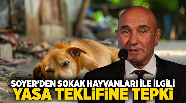 Soyer&#039;den sokak hayvanları ile ilgili yasa teklifine tepki