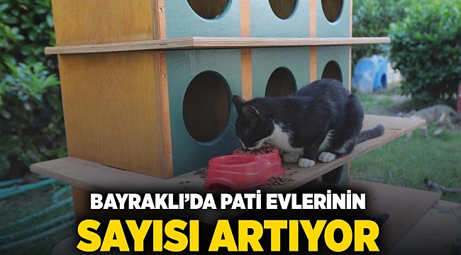 Bayraklı&#039;da pati evlerinin sayısı artıyor