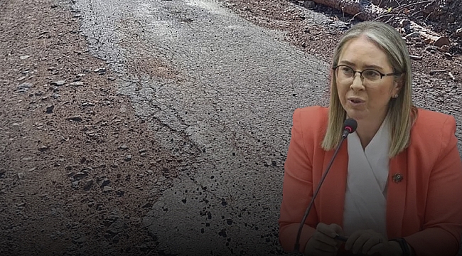 Bergama Orman İşletme Müdürü&#039;nün ölümünde &#039;bozuk yol&#039; iddiası