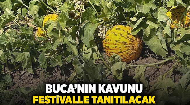Buca’nın kavunu festivalle tanıtılacak