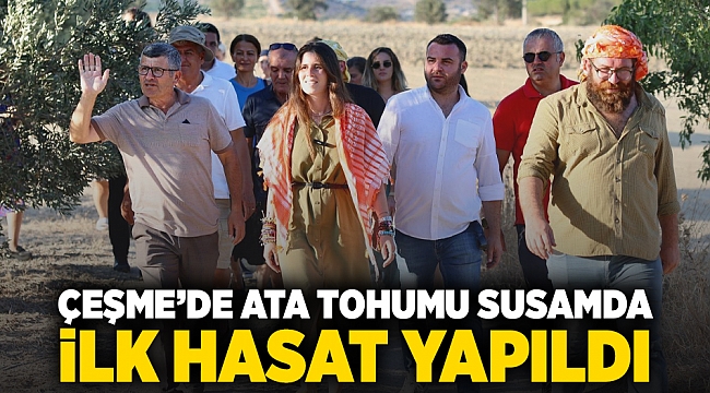 Çeşme'de ata tohumu susamında ilk hasat yapıldı