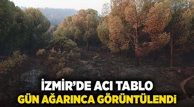 İzmir&#039;de acı tablo gün ağarınca görüntülendi