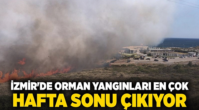 İzmir&#039;de Orman yangınları en çok  hafta sonu çıkıyor