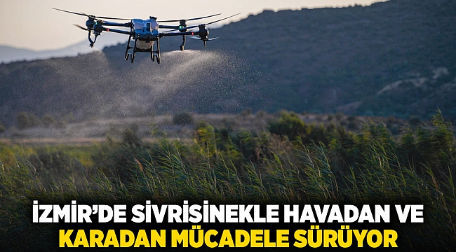İzmir’de sivrisinekle havadan ve karadan mücadele sürüyor