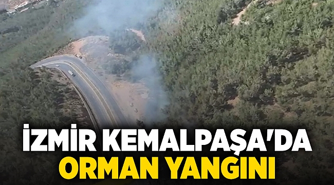 İzmir Kemalpaşa&#039;da  orman yangını