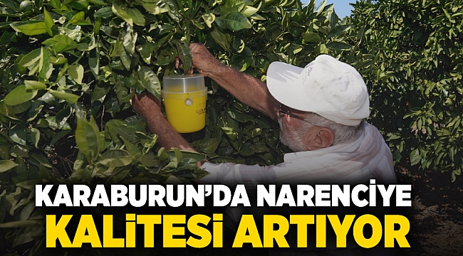 Karaburun'da narenciye kalitesi artıyor