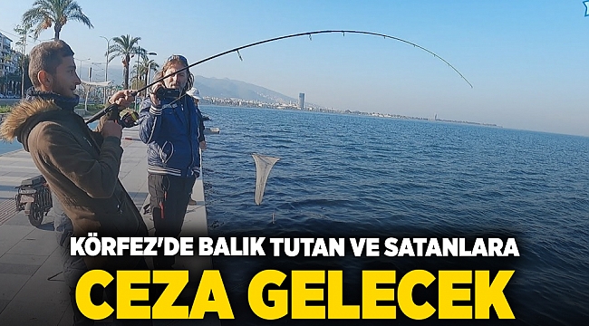 Körfez'de balık tutan ve satanlara  ceza gelecek