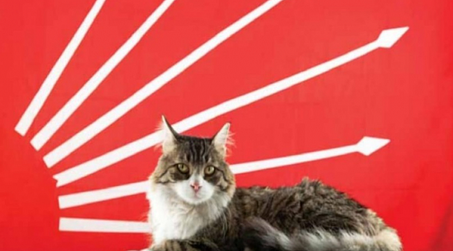 CHP&#039;nin maskotu Şero, hayatını kaybetti.