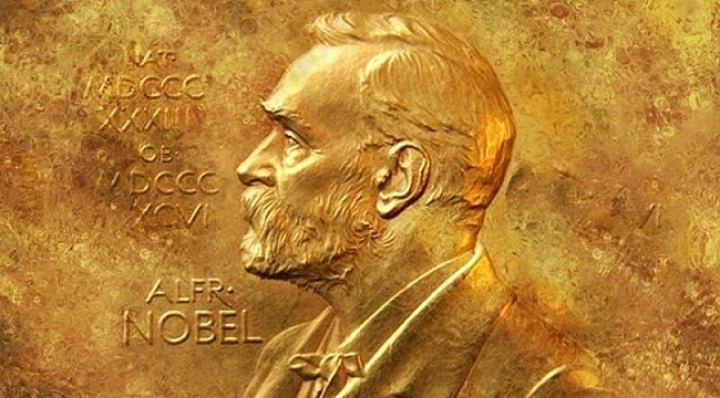 2024 Nobel Tıp Ödülü&#039;nün sahibi belli oldu