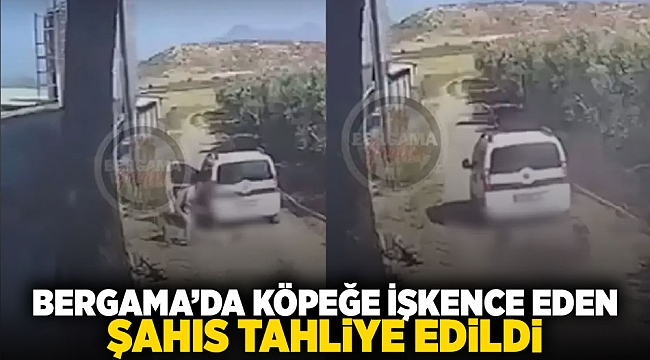 Bergama&#039;da köpeğe işkence eden şahıs tahliye edildi