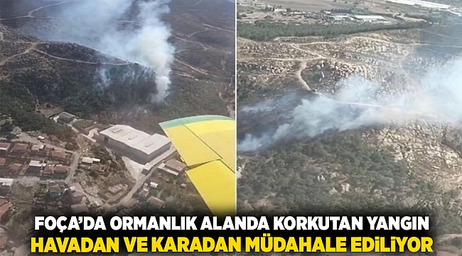 Foça'da ormanlık alanda korkutan  yangın: Havadan ve karadan müdahale ediliyor