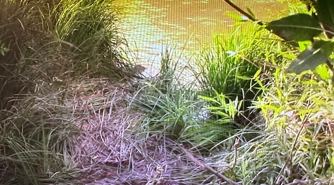 İtirafçı Nevzat Bahtiyar&#039;ın olay yeri keşif görüntüleri ortaya çıktı