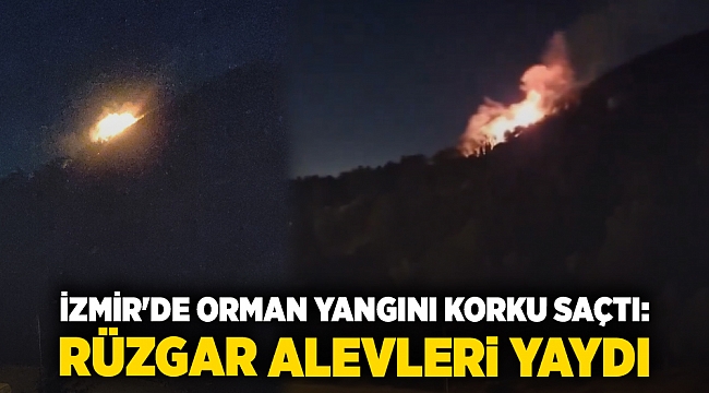 İzmir&#039;de Orman Yangını Korku Saçtı:  Rüzgar Alevleri Yaydı