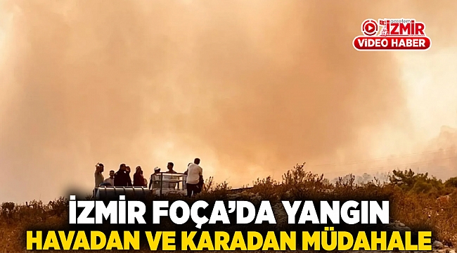 İzmir Foça&#039;da yangın: Havadan ve karadan müdahale