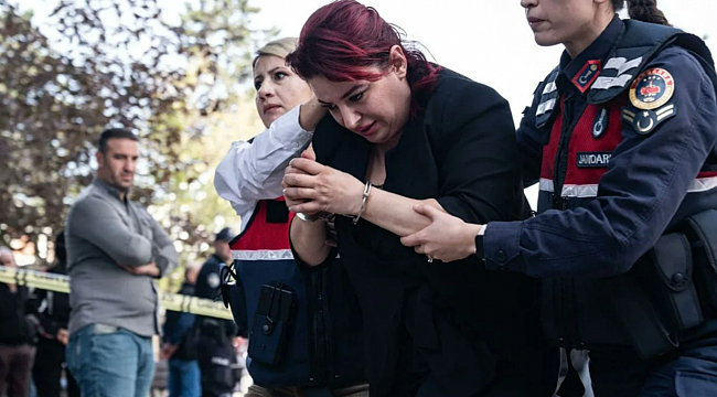 Sağlık Bakanlığı'ndan "Yenidoğan çetesi" açıklaması