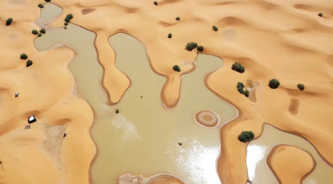 Sahra Çölü&#039;nde sel: 50 yıldır kurak olan göl doldu