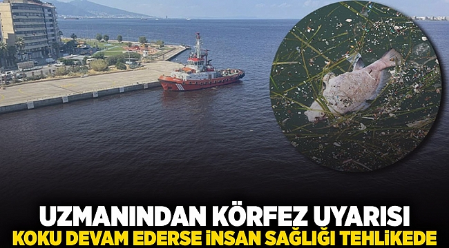 Uzmanından &#039;Körfez&#039; uyarısı: Koku devam ederse insan sağlığı tehlikede!