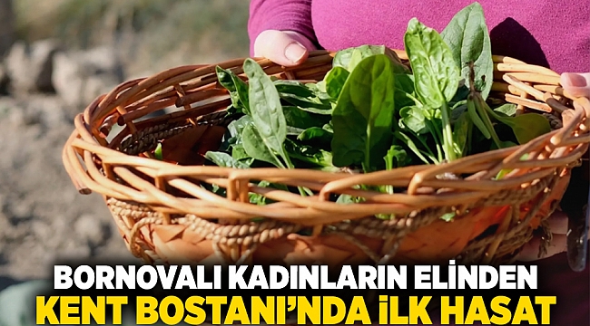 Bornovalı kadınların elinden... Kent Bostanı&#039;nda ilk hasat