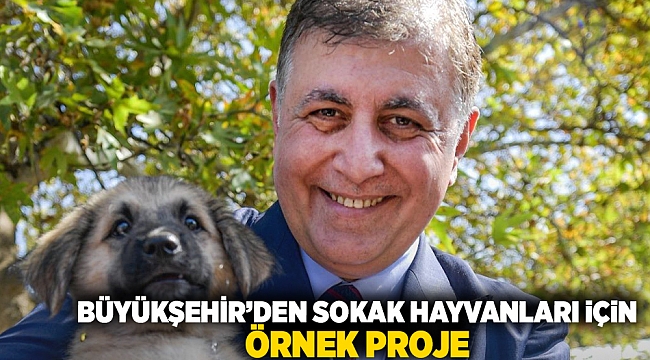 Büyükşehir’den sokak hayvanları için örnek proje