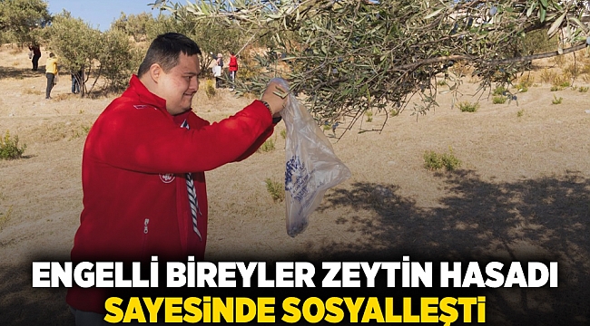 Engelli bireyler zeytin hasadı  sayesinde sosyalleşti