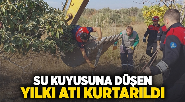SU KUYUSUNA DÜŞEN YILKI ATI KURTARILDI