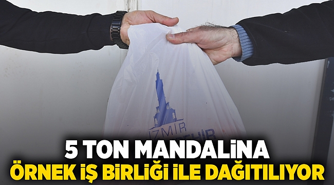 5 ton mandalina örnek iş birliği ile dağıtılıyor