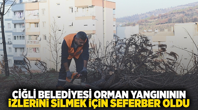 Çiğli Belediyesi Orman Yangınının İzlerini Silmek İçin Seferber Oldu
