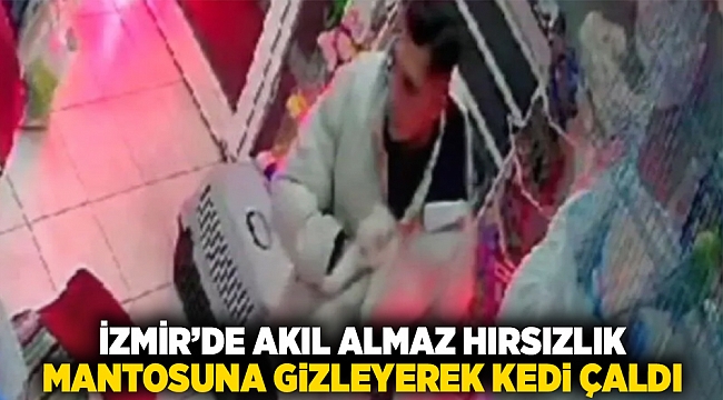 İzmir&#039;de akıl almaz hırsızlık: mantosuna gizleyerek kedi çaldı!