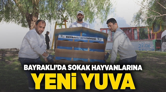 Bayraklı’da sokak hayvanlarına yeni yuva