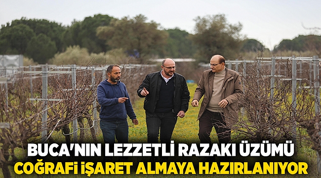 Buca&#039;nın lezzetli razakı üzümü coğrafi işaret almaya hazırlanıyor