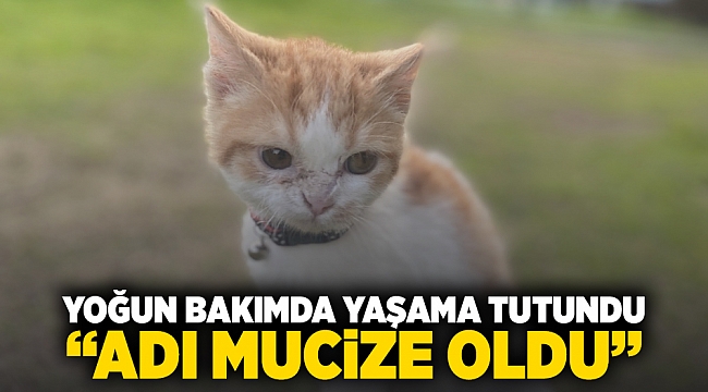 Yoğun bakımda yaşama tutundu, adı “Mucize” oldu