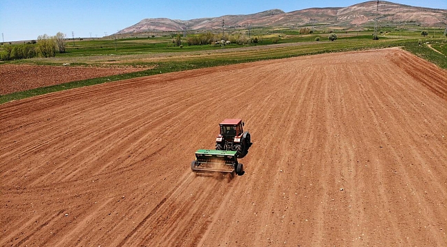 Tarım ÜFE ocakta arttı