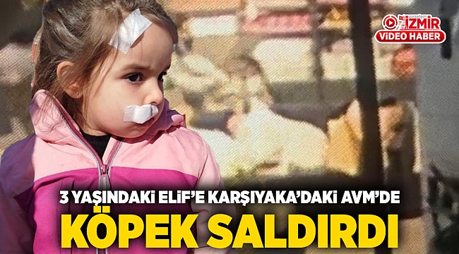 3 yaşındaki Elif&#039;e Karşıyaka&#039;daki AVM&#039;de köpek saldırdı
