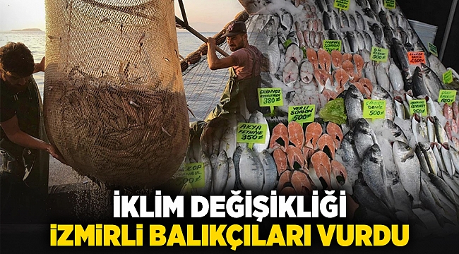İklim değişikliği İzmirli balıkçıları vurdu